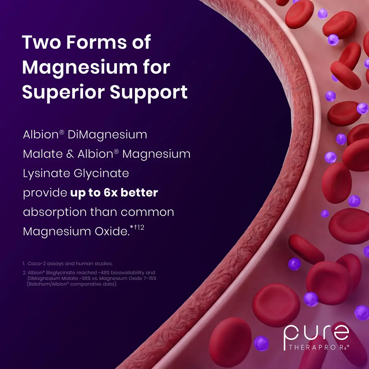 Pure Therapro Rx Optimum Magnesium 240 Capsules | Supports Energy & Sleep, Chelated for Absorption, Made in USA - view 6