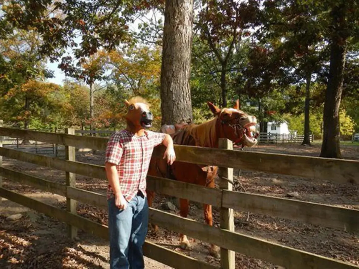 MIYAYA Halloween Horse Head Mask | Full Latex Head Mask for Parties - view 5
