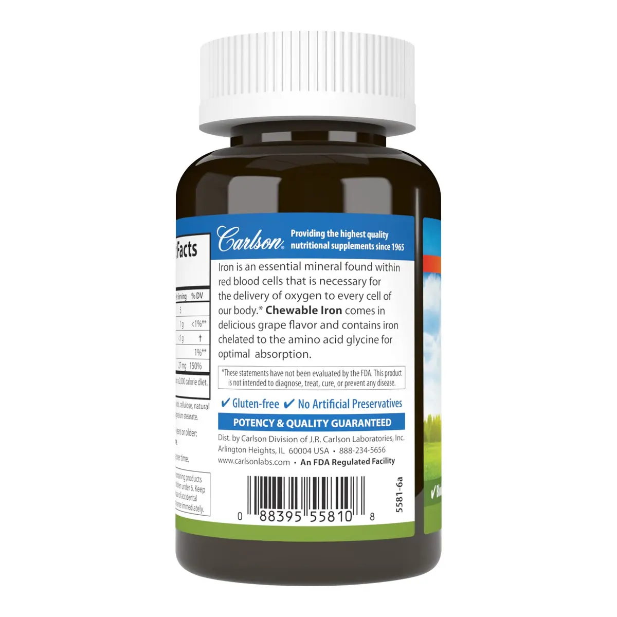 Carlson Chewable Iron, 27 mg | Superior Absorption, 60 Chewable Tablets for Healthy Blood - view 3