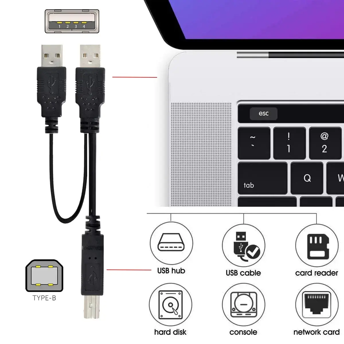 cablecc Dual USB 2.0 Type-A to Type-B Y Cable 60cm (2ft) | Extra Power & Data for External Drives - view 8