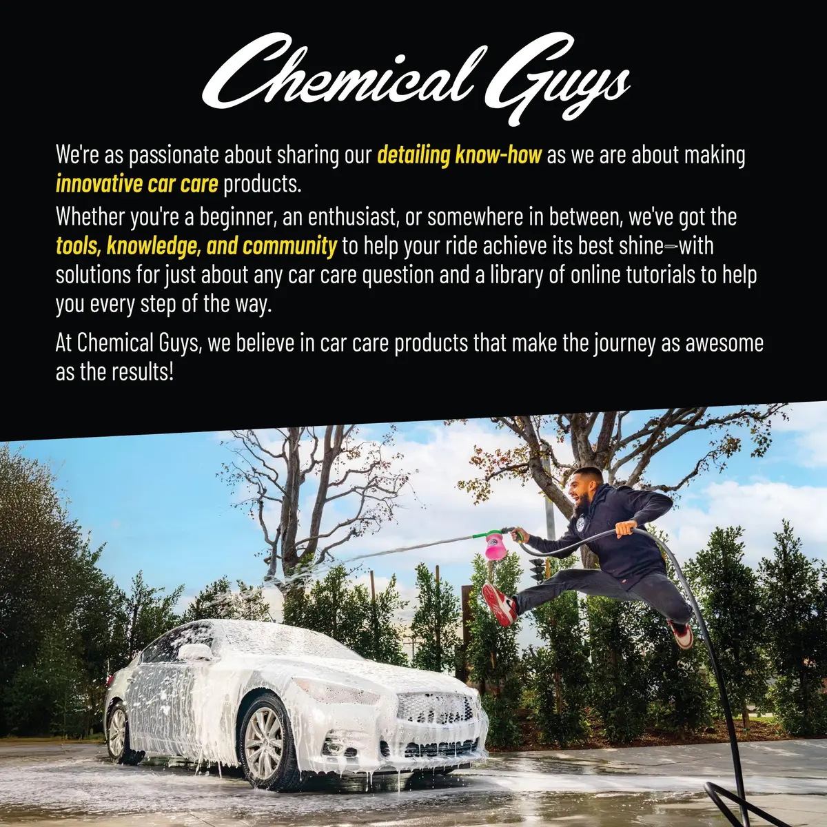Chemical Guys Workhorse Plush Microfiber Towels 16 x 16 in | Scratch-Free, Ultra-Absorbent, Durable, Versatile (70-120 chars) - view 4
