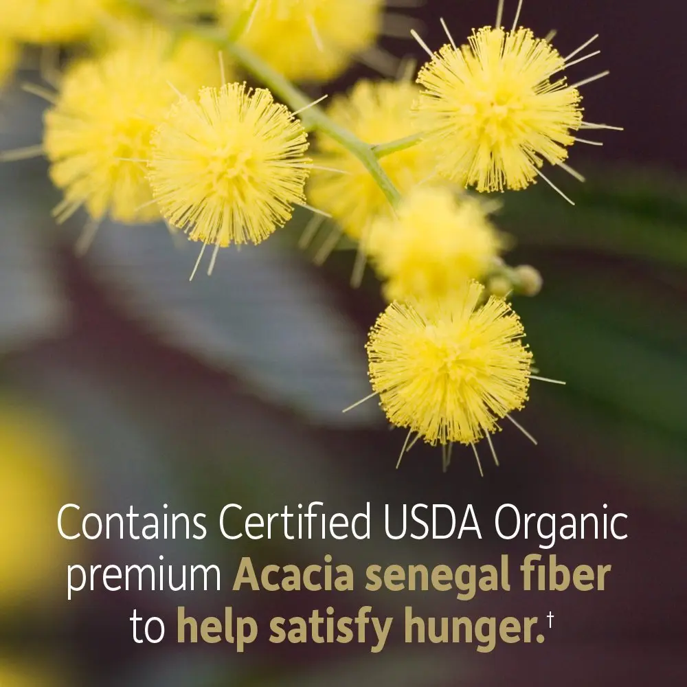 Garden of Life Dr. Formulated Organic Fiber Powder Unflavored 193g (6.8 oz) | USDA Organic Prebiotic Fiber Supplement - view 4