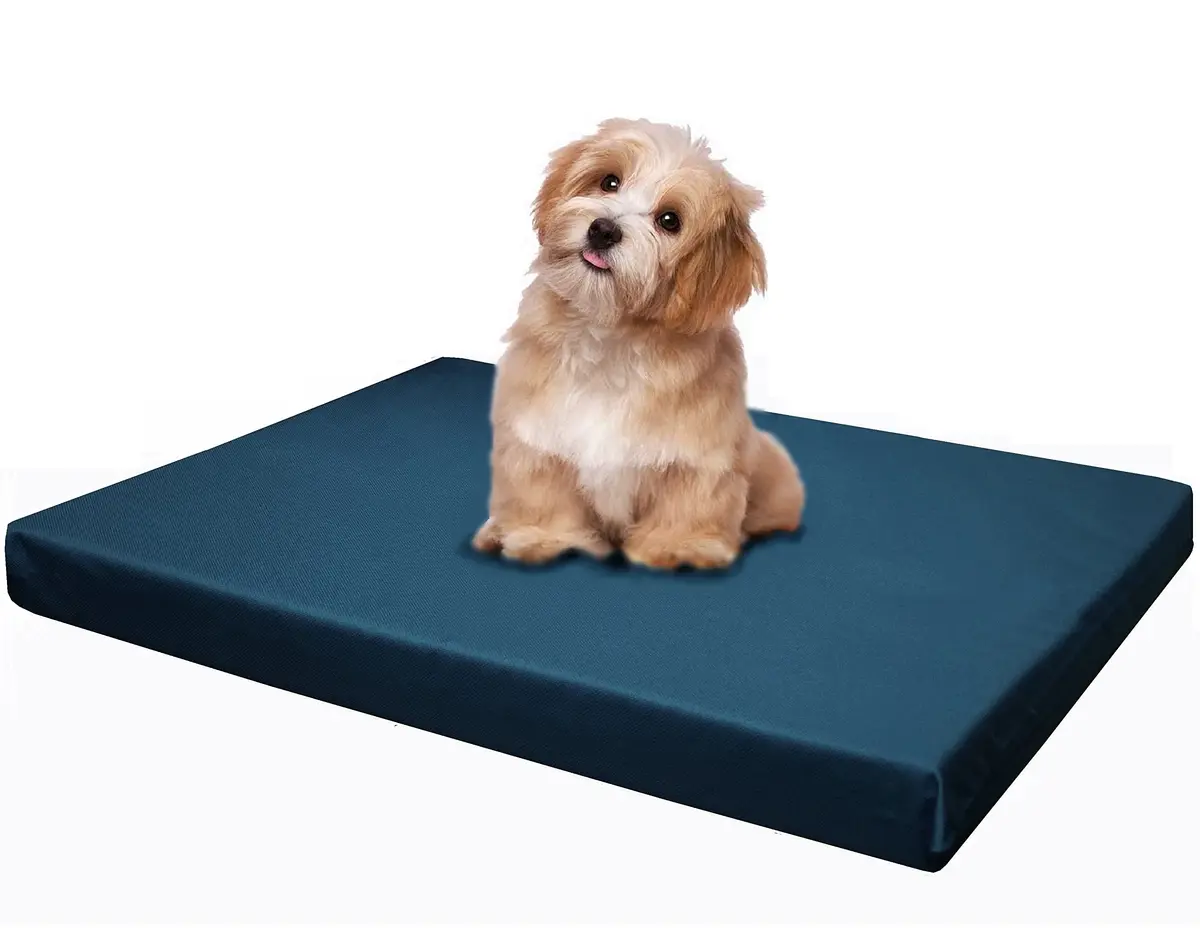 Dogbed4less Memory Foam Platform Dog Bed 45x27x3 | Orthopedic Support with Waterproof Cover - main product image