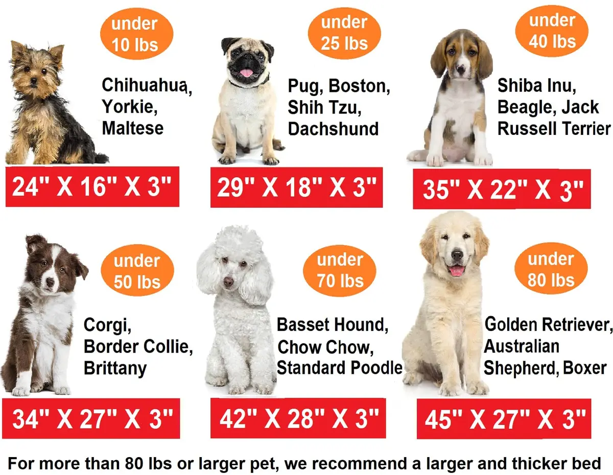 Dogbed4less Memory Foam Platform Dog Bed 45x27x3 | Orthopedic Support with Waterproof Cover - view 8