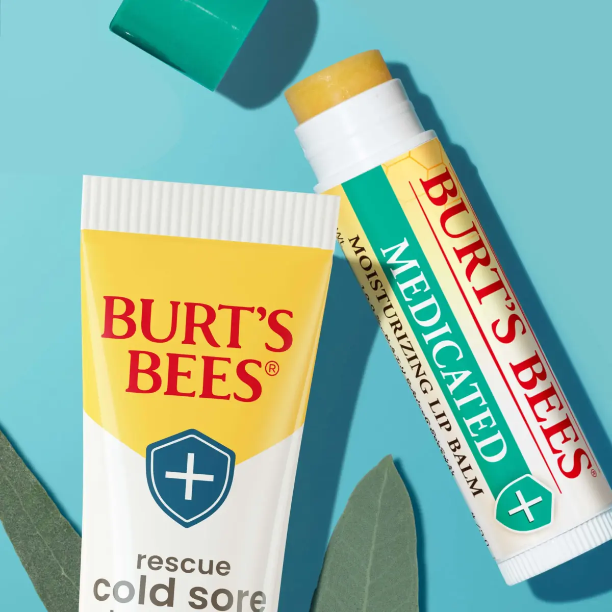 Burt's Bees Medicated Tint-Free Lip Balm 2 Count | Natural Conditioning Lip Treatment - view 2
