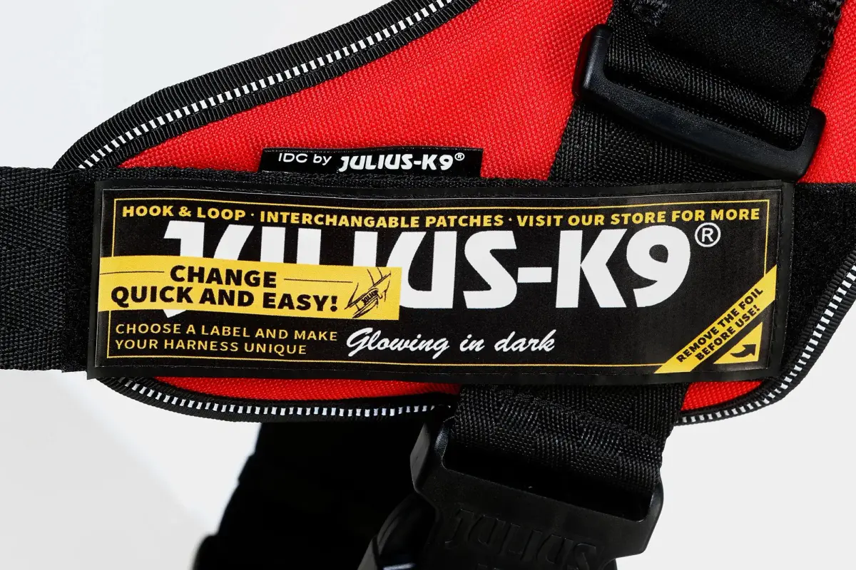 Julius-K9 IDC Powerharness Size 3 (26cm Neck, 81cm Chest) | European-Made Dog Harness for Large Dogs - view 7