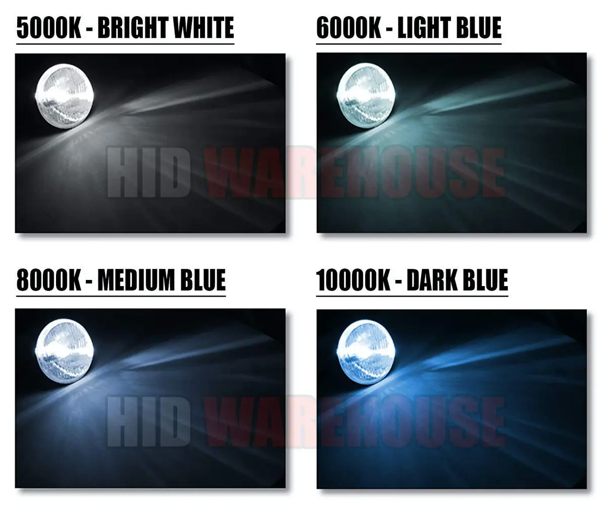 HID-Warehouse Xenon HID Replacement Bulbs 5202 (H16/9009) 10000K Dark Blue Pair | Plug-and-Play HID Headlight Upgrade - view 5