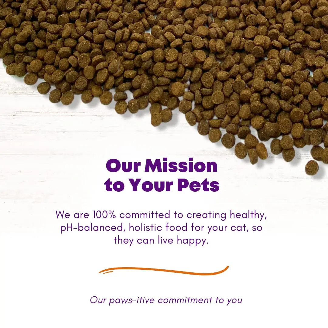 Canine Caviar Feline Caviar Open Range Buffalo & Chickpea 11 lbs | Grain-Free Limited Ingredient Cat Food - view 5