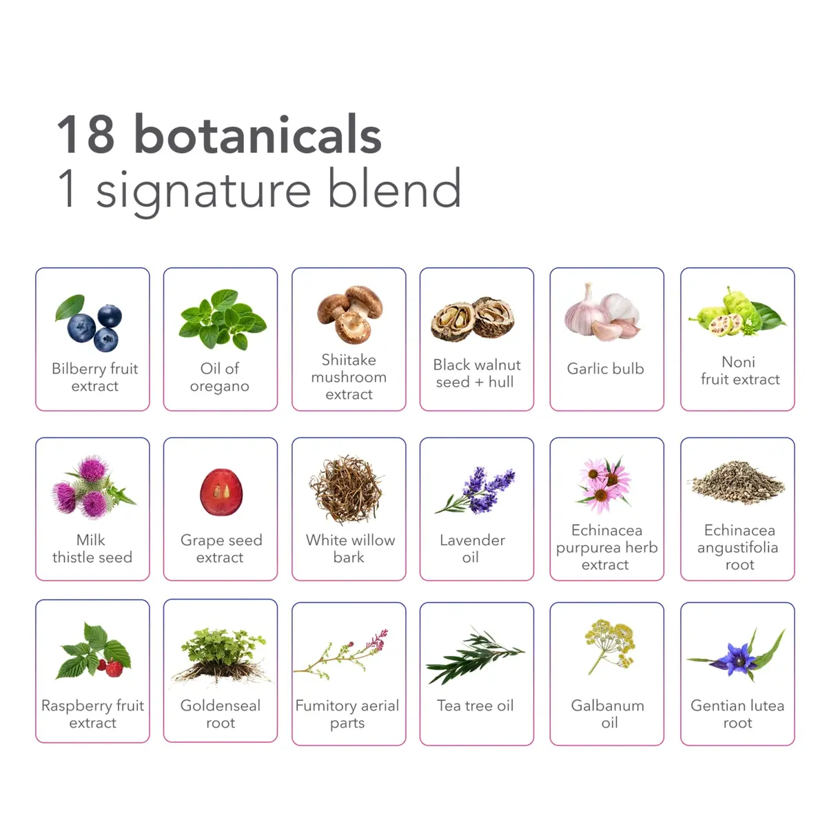 Bio-Botanical Research Biocidin Broad-Spectrum Liposomal Formula 1.7 Fl Oz | Gut & Microbiome Support - view 9