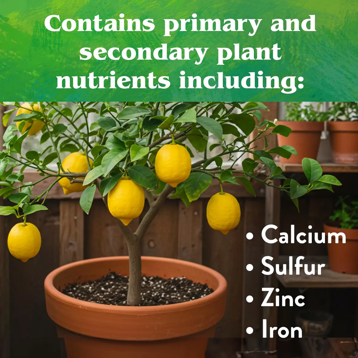 Down To Earth All Natural Fertilizers Organic Citrus Mix 1 lb | 6-3-3 NPK for Healthy Fruit Trees - view 6