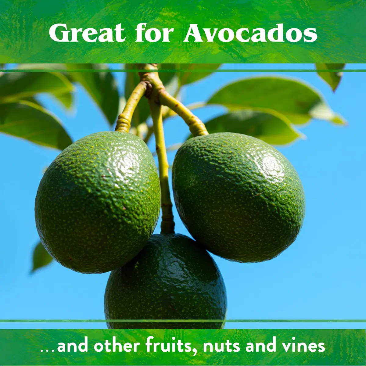 Down To Earth All Natural Fertilizers Organic Citrus Mix 1 lb | 6-3-3 NPK for Healthy Fruit Trees - view 7