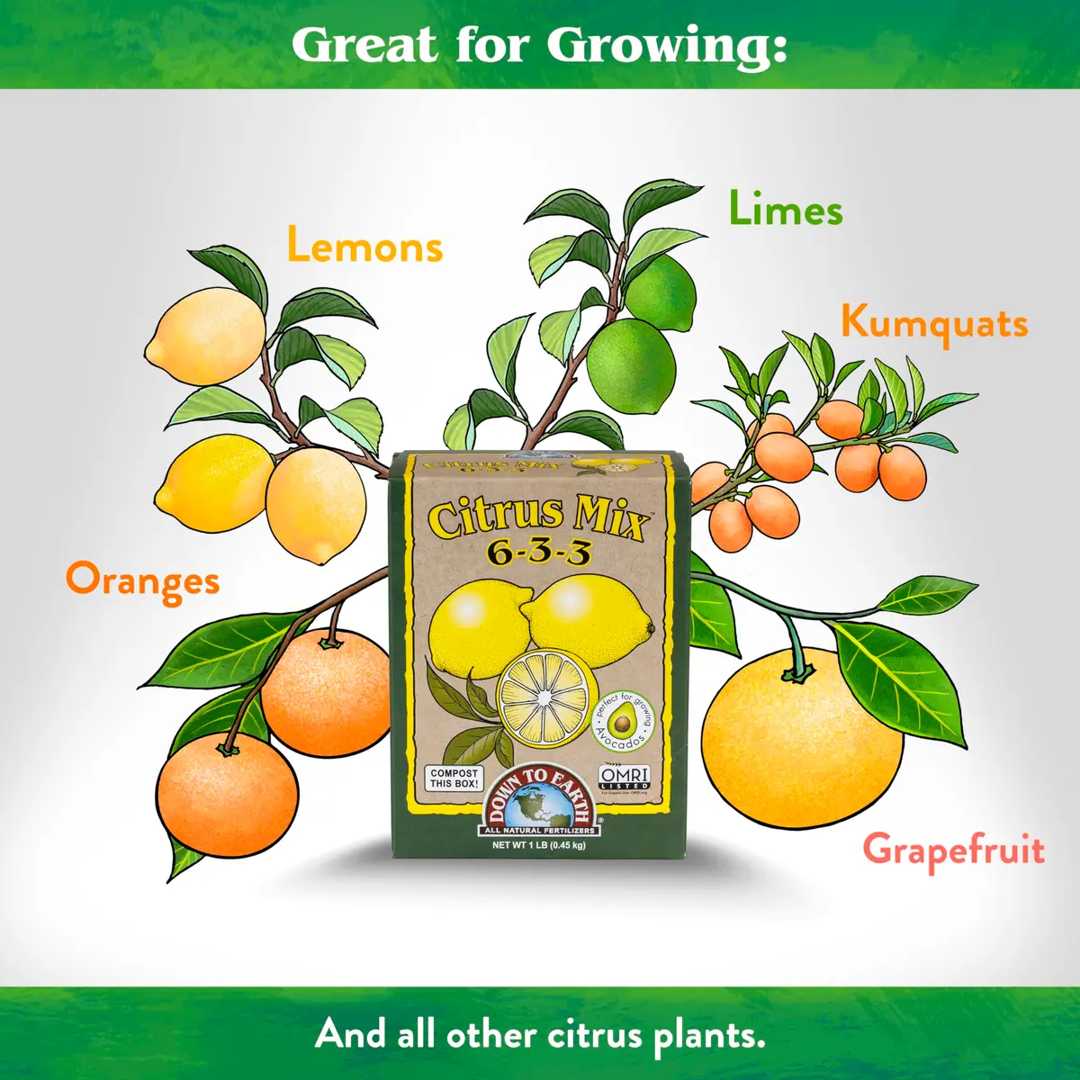 Down To Earth All Natural Fertilizers Organic Citrus Mix 1 lb | 6-3-3 NPK for Healthy Fruit Trees - view 3