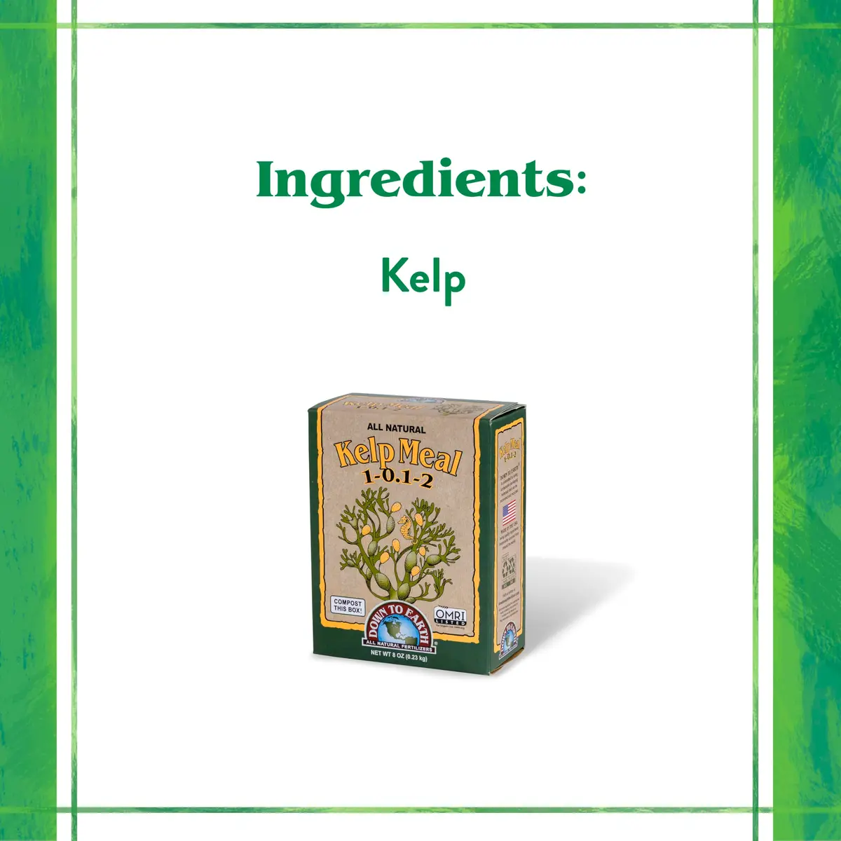 Down To Earth All Natural Fertilizers Organic Kelp Meal 0.5 lb | Supports Organic Gardens & Soil Health - view 4