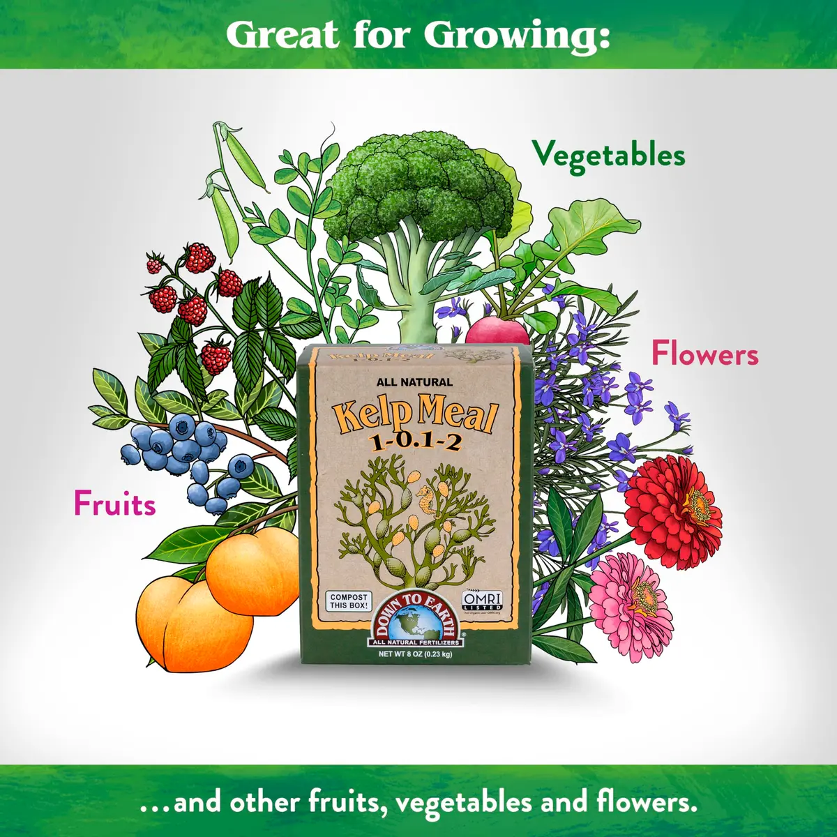Down To Earth All Natural Fertilizers Organic Kelp Meal 0.5 lb | Supports Organic Gardens & Soil Health - view 3