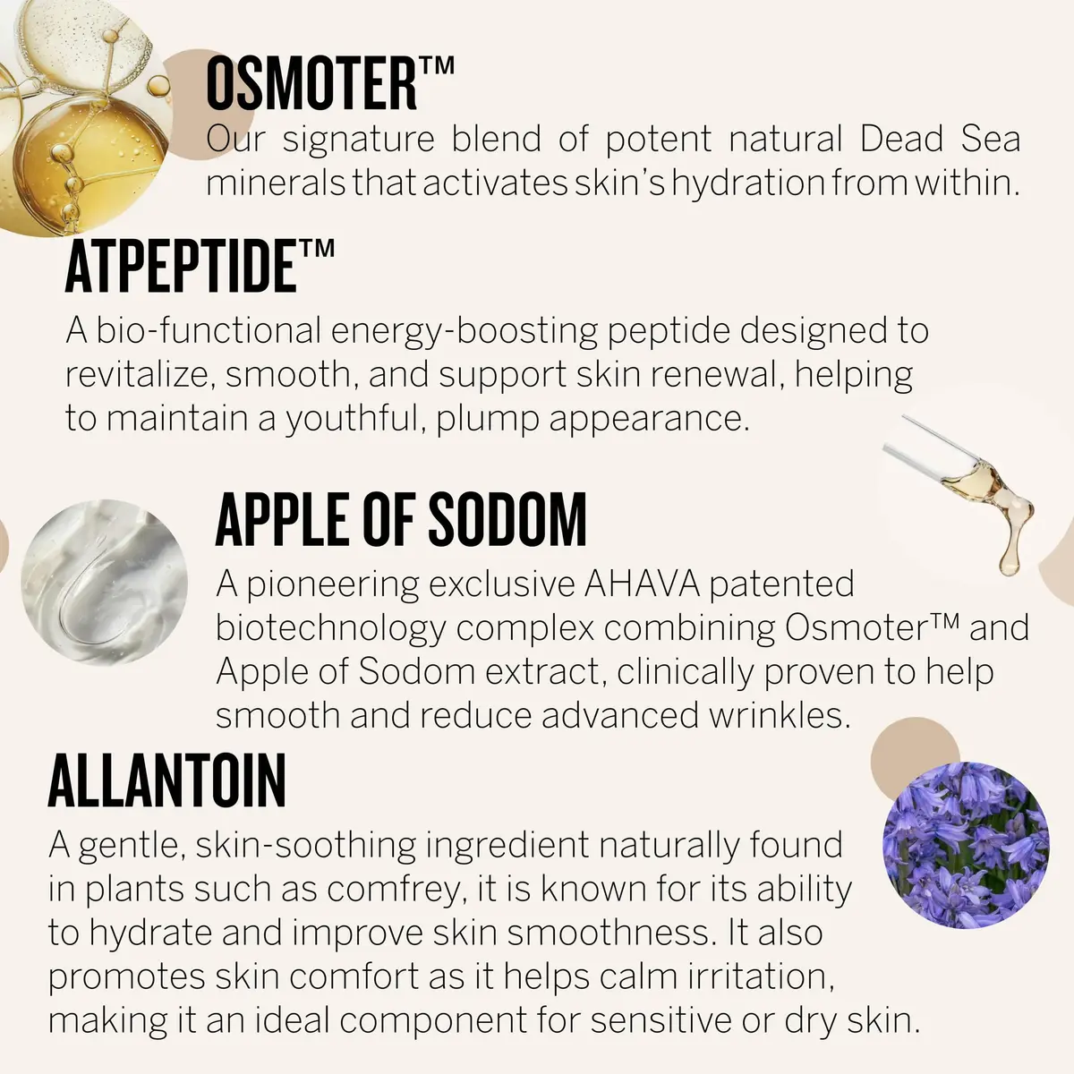 AHAVA Apple of Sodom Deep Wrinkle Cream 50ml | Targets Age Wrinkles & Restores Volume - view 3