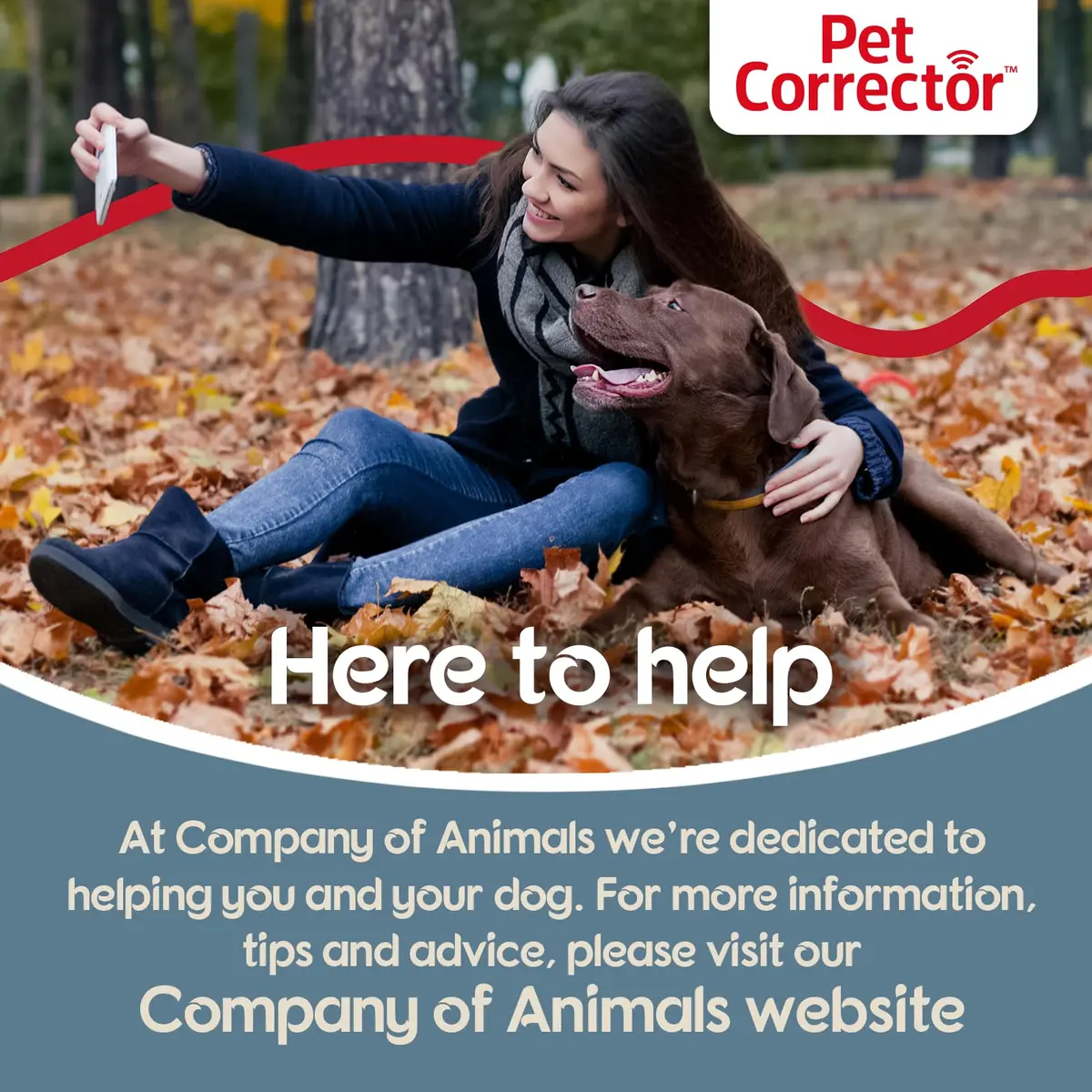 Pet Corrector Dog Trainer 30mL Pack of 4 | Humane Air Hiss Distraction Tool for Unwanted Dog Behaviors - view 5