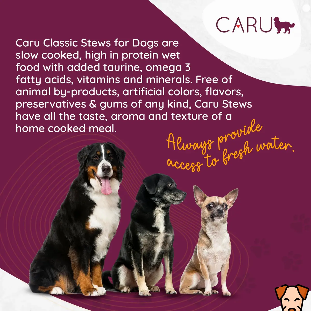 Caru Classics Pork Stew for Dogs 12 oz | Grain-Free, Human-Grade Ingredients, Supports Overall Dog Health - view 4