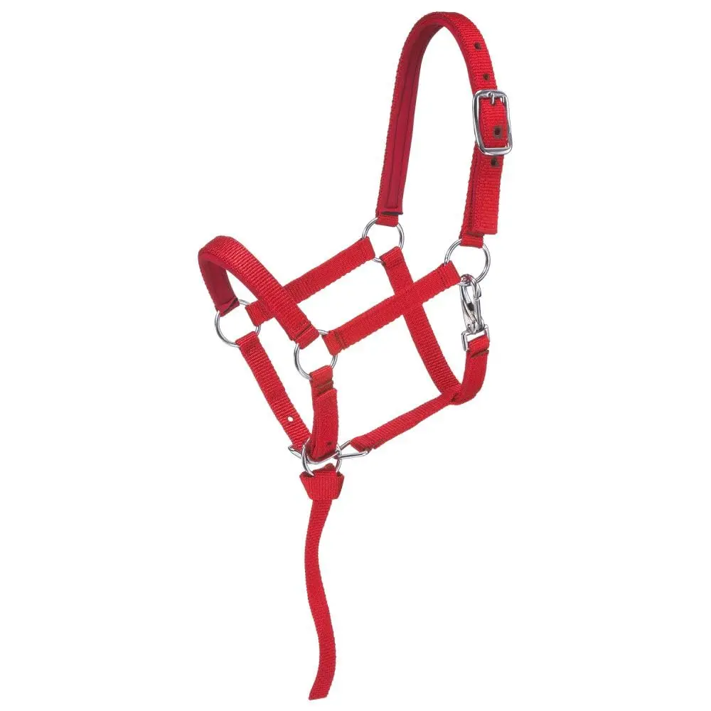 Tough 1 Miniature Nylon Padded Halter - Red - Small | Durable nylon with padding, adjustable fit, easy on/off, imported from USA - main product image