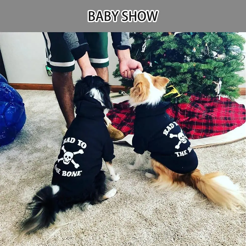 EXPAWLORER Dog Hoodie - Bad to The Bone Halloween Sweater, M | Casual Fall & Winter Dog Apparel - view 6