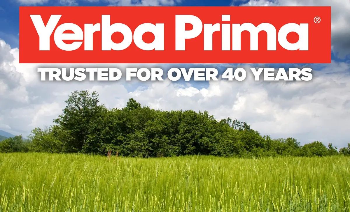 Yerba Prima Psyllium Husks Veg Caps - 540 Veg Capsules | Vegan, Non-GMO, Gluten Free for Gut Health & Regularity - view 6