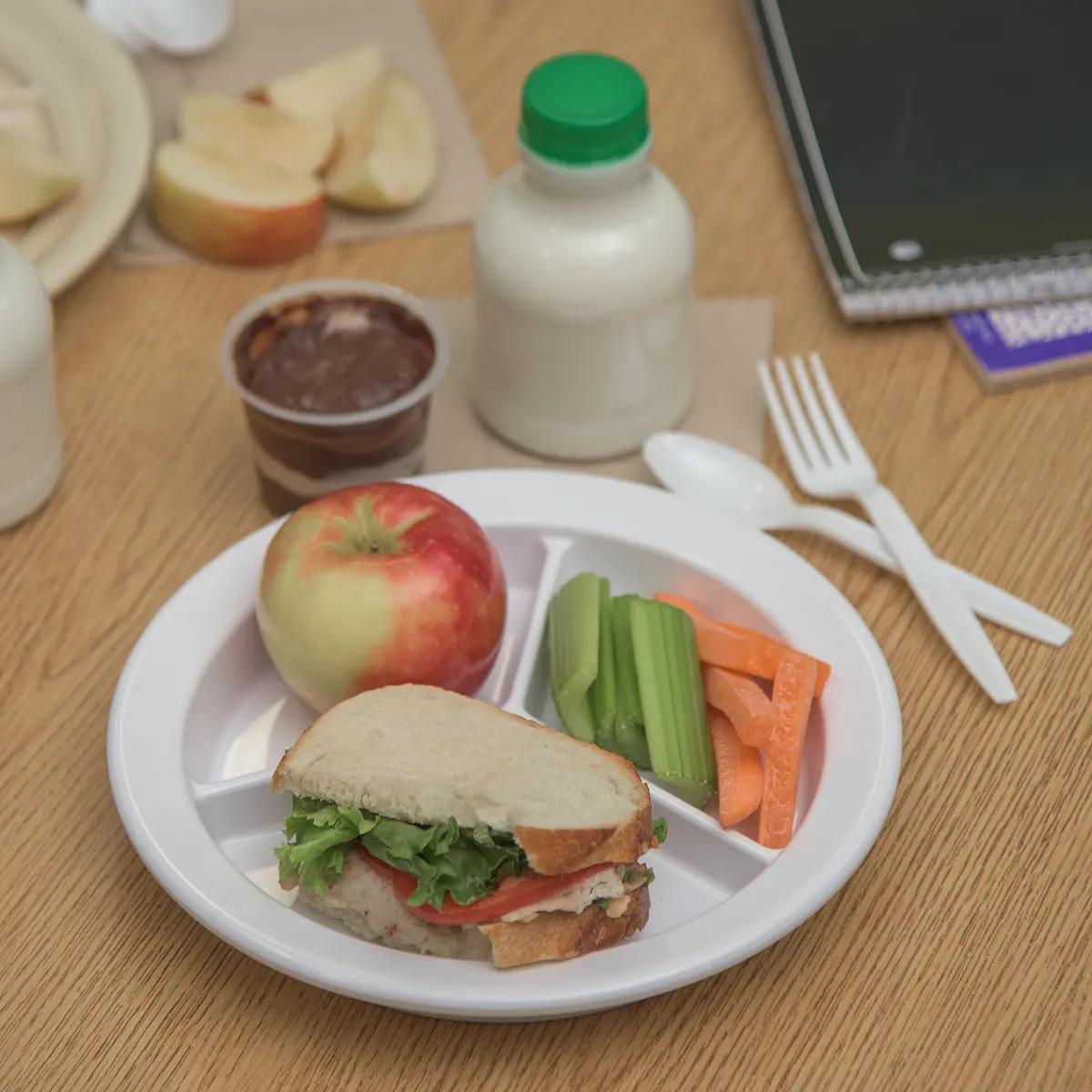 Carlisle FoodService Dallas Ware Plastic Divided Plate 9 Inches | Heavy-Duty Melamine, 3 Compartments, White - view 3