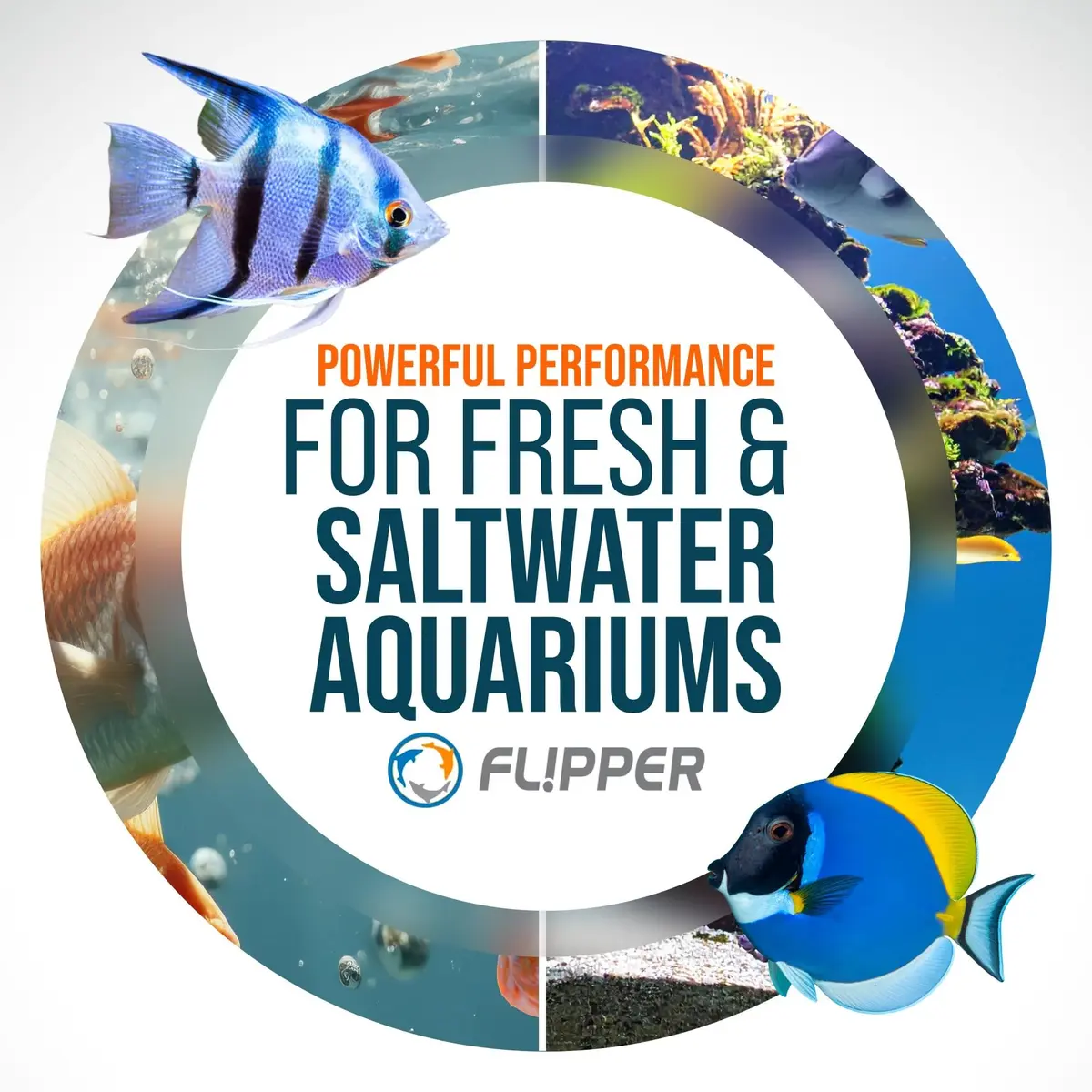 FL!PPER Aquarium Algae Scraper Blades 2 Pack | Stainless Steel Replacement for Glass Tanks ¼”–½” - view 7