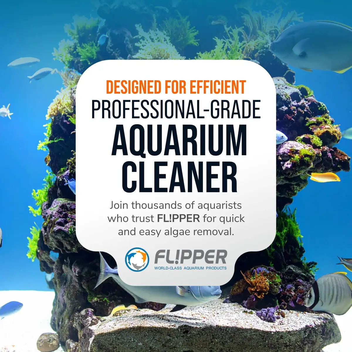 FL!PPER Aquarium Algae Scraper Blades 2 Pack | Stainless Steel Replacement for Glass Tanks ¼”–½” - view 8