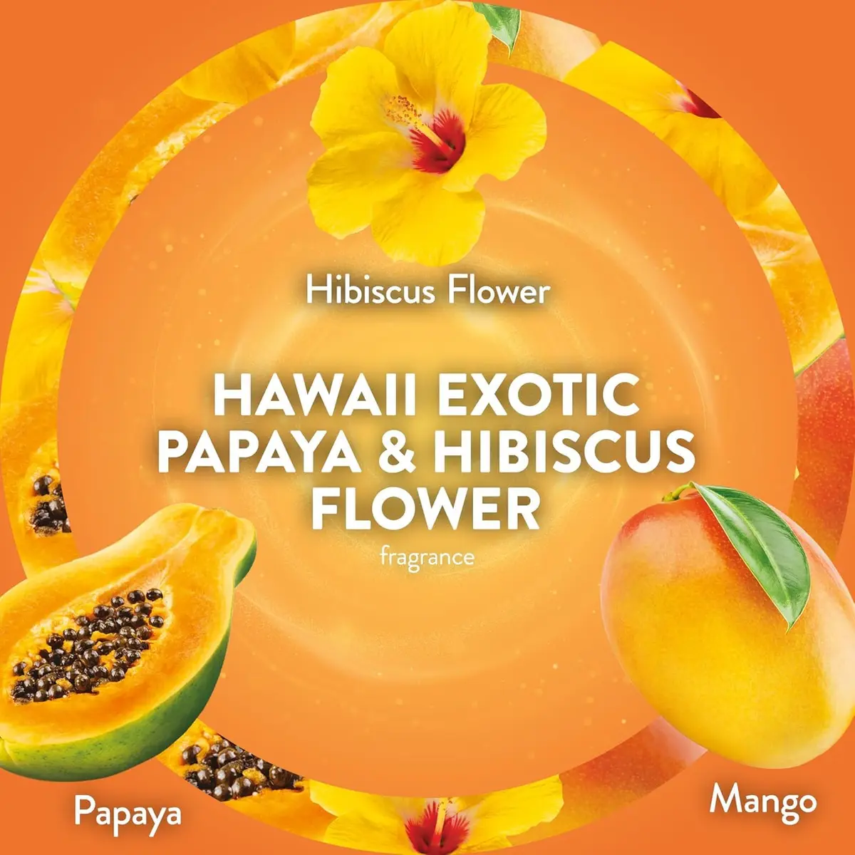 Air Wick Scented Oil Refills, Hawaii Exotic Papaya & Hibiscus Flower | Long-lasting tropical fragrance infused with natural essential oils - view 6