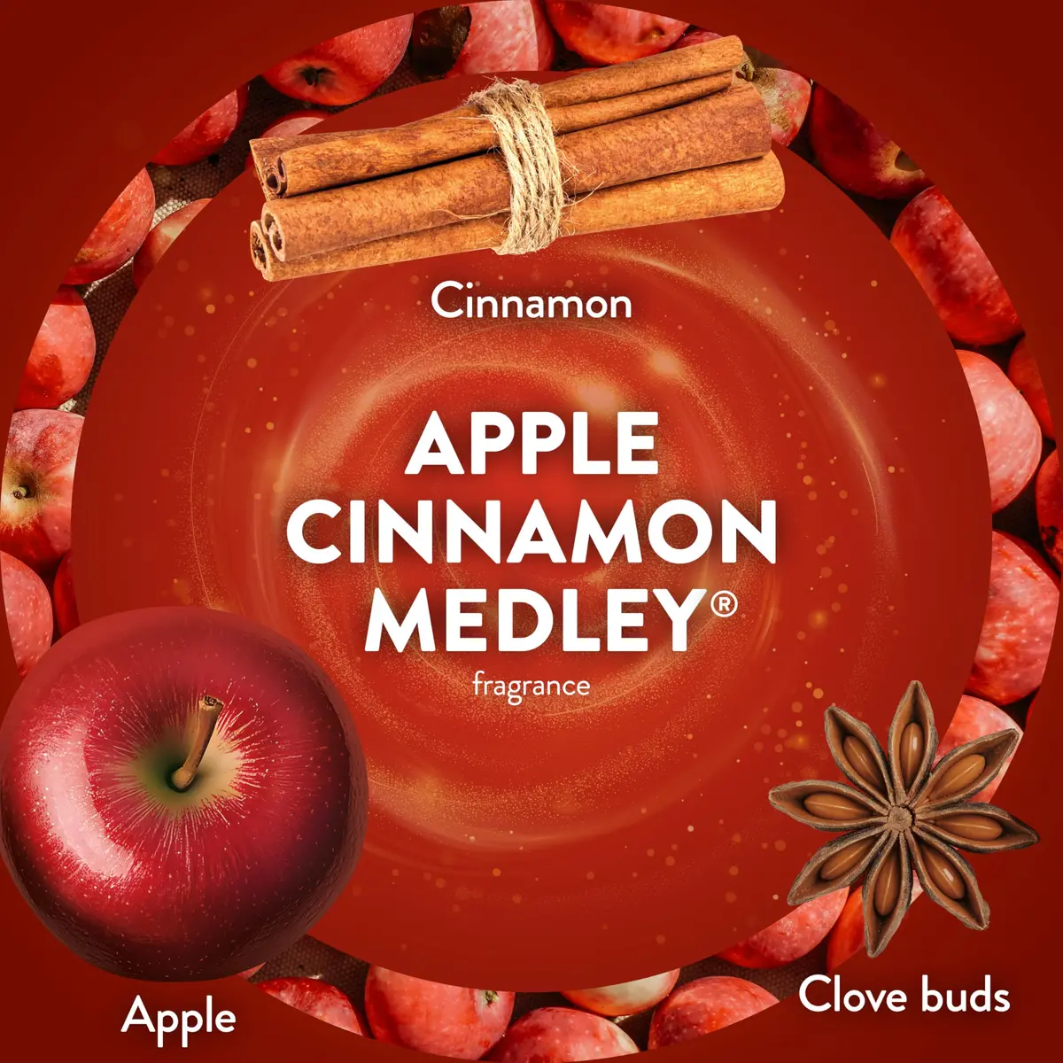 Air Wick Plug In Refill Apple Cinnamon Medley Scented Oil 5ct | Infused with Essential Oils - view 4