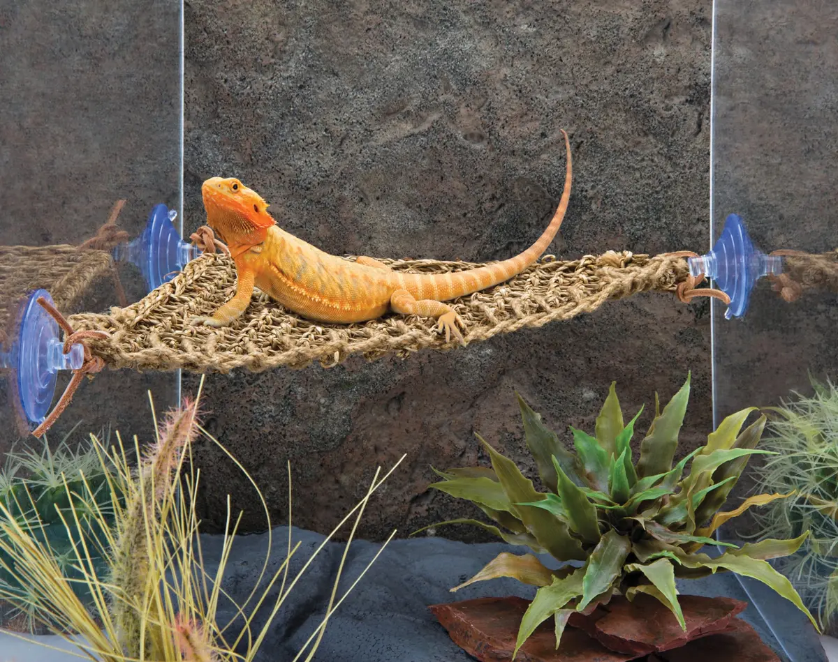 Penn-Plax Reptology Lizard Lounger Corner Triangle 38cm (15") | Natural Seagrass Fiber Perch for Reptiles - view 5
