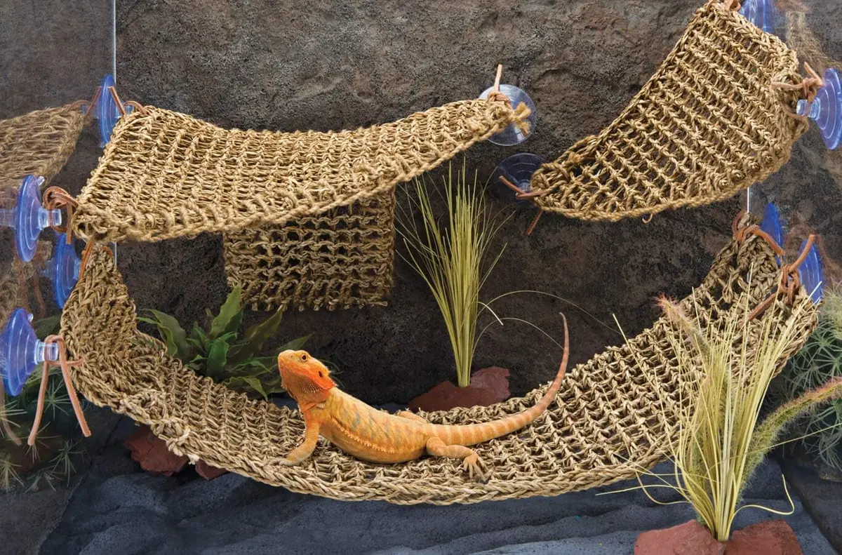Penn-Plax Reptology Lizard Lounger Corner Triangle 38cm (15") | Natural Seagrass Fiber Perch for Reptiles - view 2