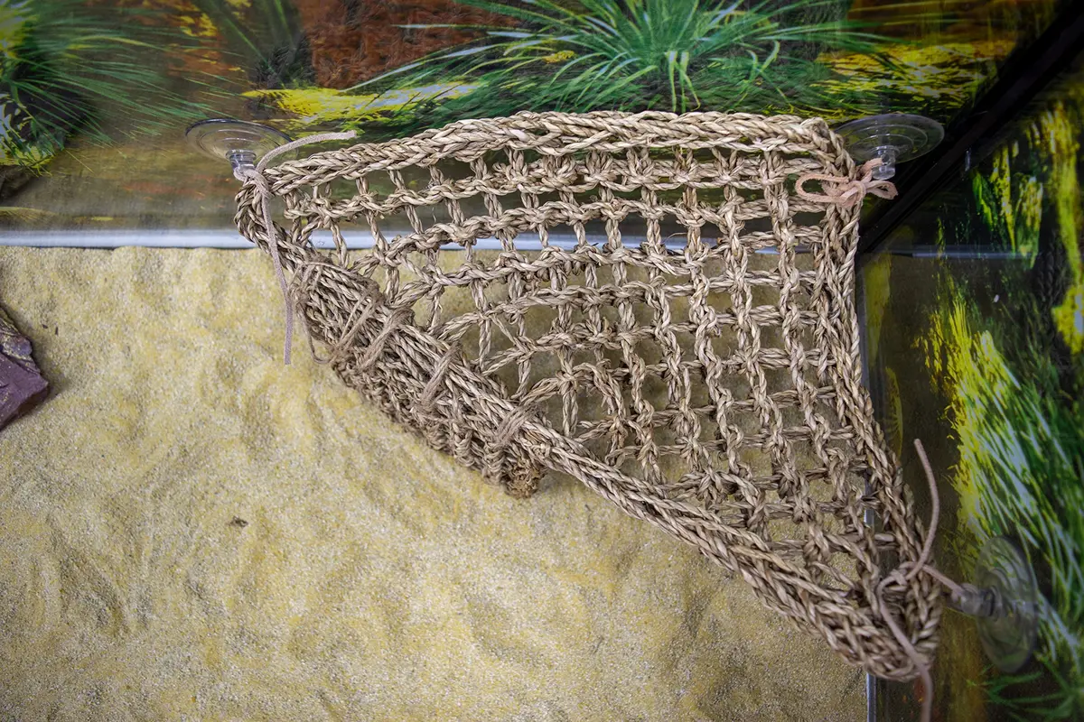Penn-Plax Reptology Lizard Lounger Corner Triangle with Ladder, Large 45.7cm (18") x 27.9cm (11") | Natural Seagrass Fiber for Reptiles - view 3
