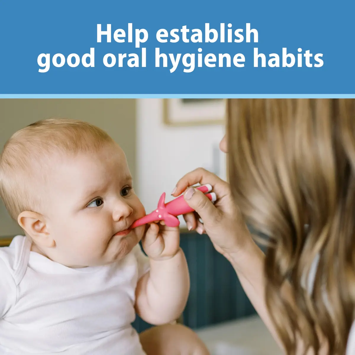 Dr. Brown's Infant-to-Toddler Toothbrush and Toothpaste Set, Pink Elephant, 2 Count (Pack of 1) | BPA-Free & Fluoride-Free Oral Care - view 7