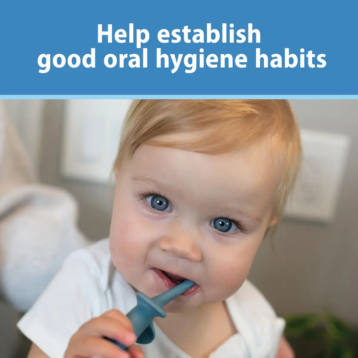 Dr. Brown's Infant-to-Toddler Toothbrush and Toothpaste Set, Blue Elephant, 40g (1.4oz) | BPA-Free, Fluoride-Free Oral Care for Ages 0-3 - view 7