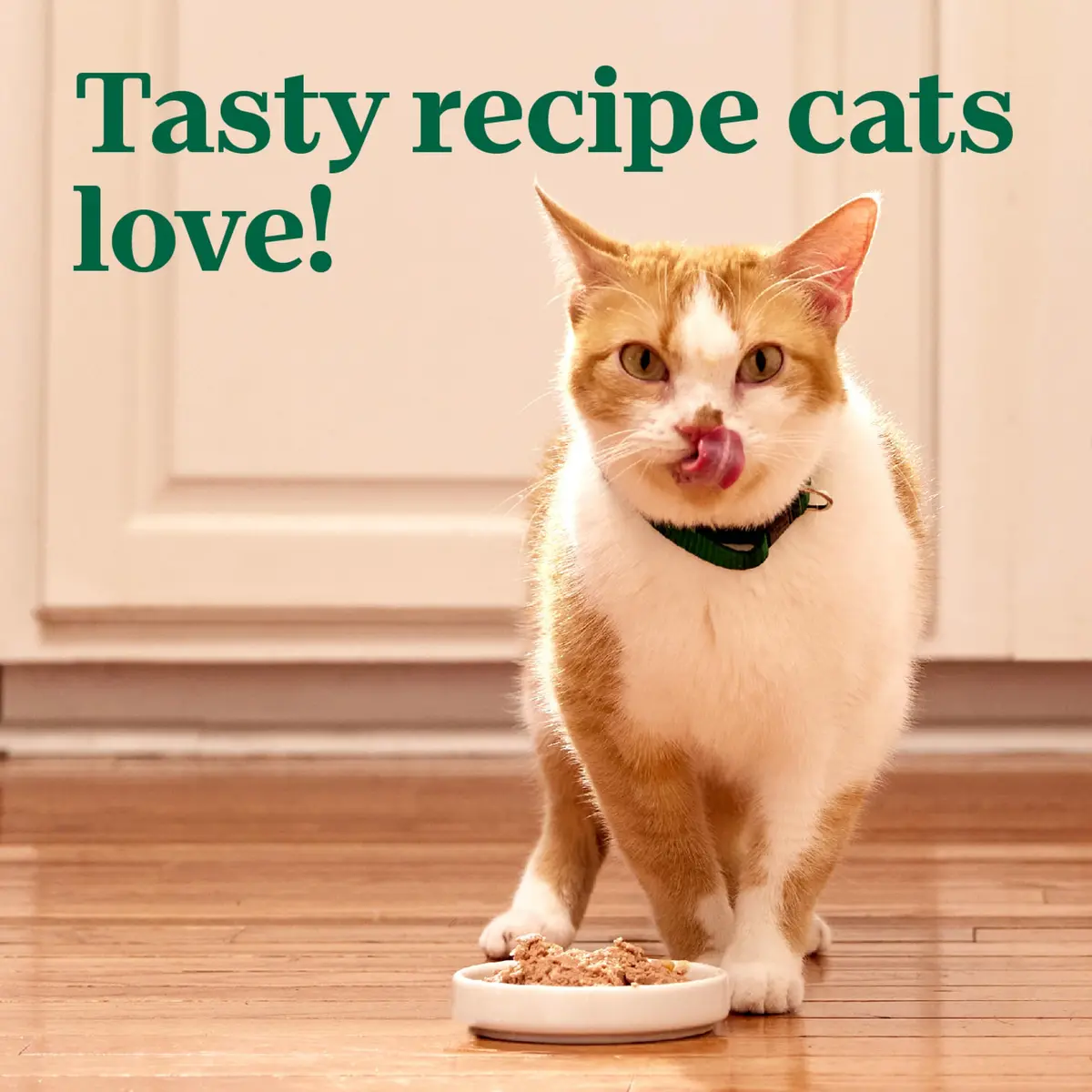 Nutro Perfect Portions Pate Wet Cat Food, Chicken & Liver, 2.6 oz, 24 ct | Grain-Free, Hydrating, Complete Nutrition - view 8