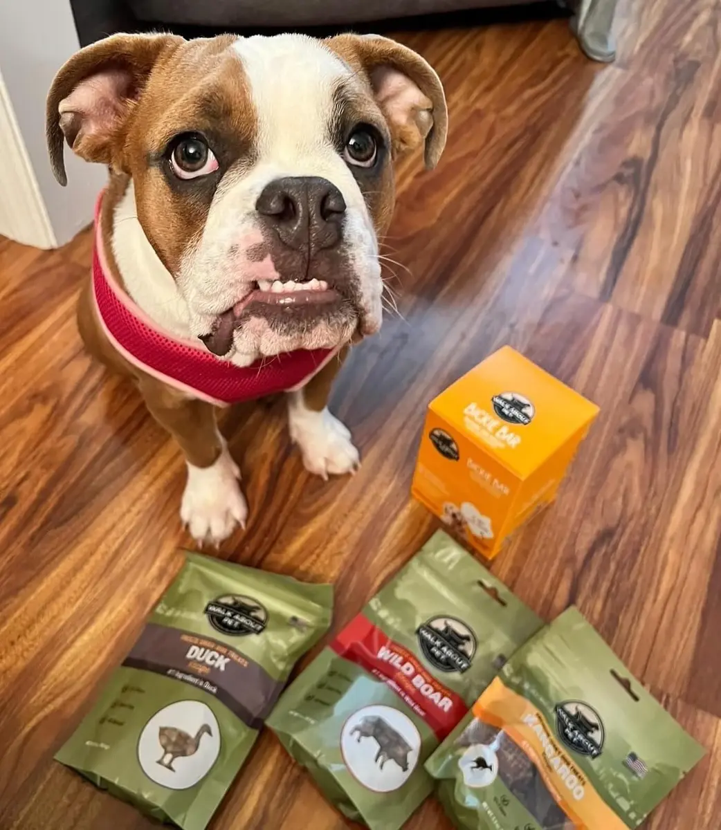 Walk About Pet Dog Jerky Treats 5.5 Oz | Grain-Free, Kangaroo Recipe, Resealable Pouch - view 10