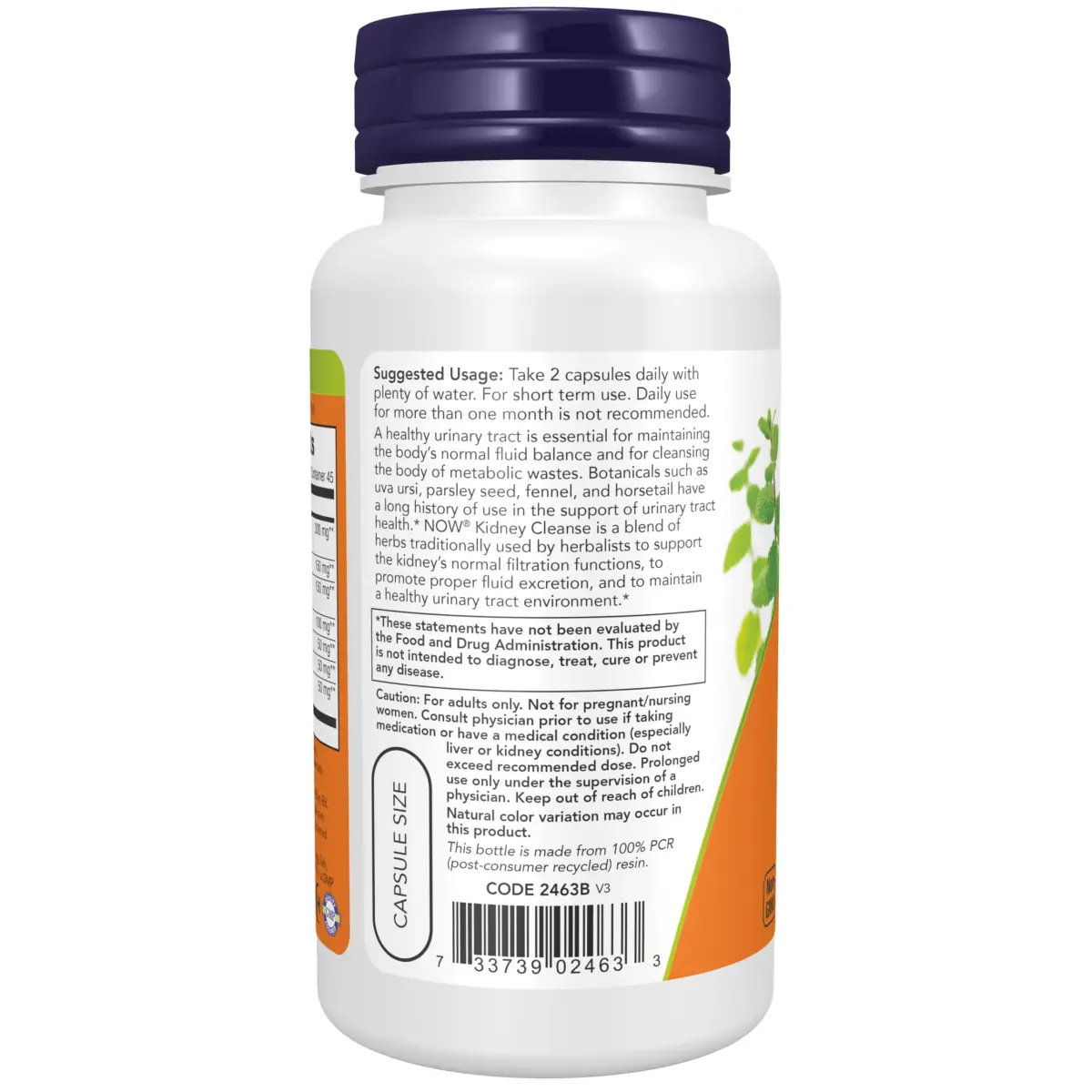 NOW Foods Kidney Cleanse with Uva Ursi, Parsley Seed, Fennel, and Horsetail 90 Veg Capsules | Supports Urinary Tract Health - view 3