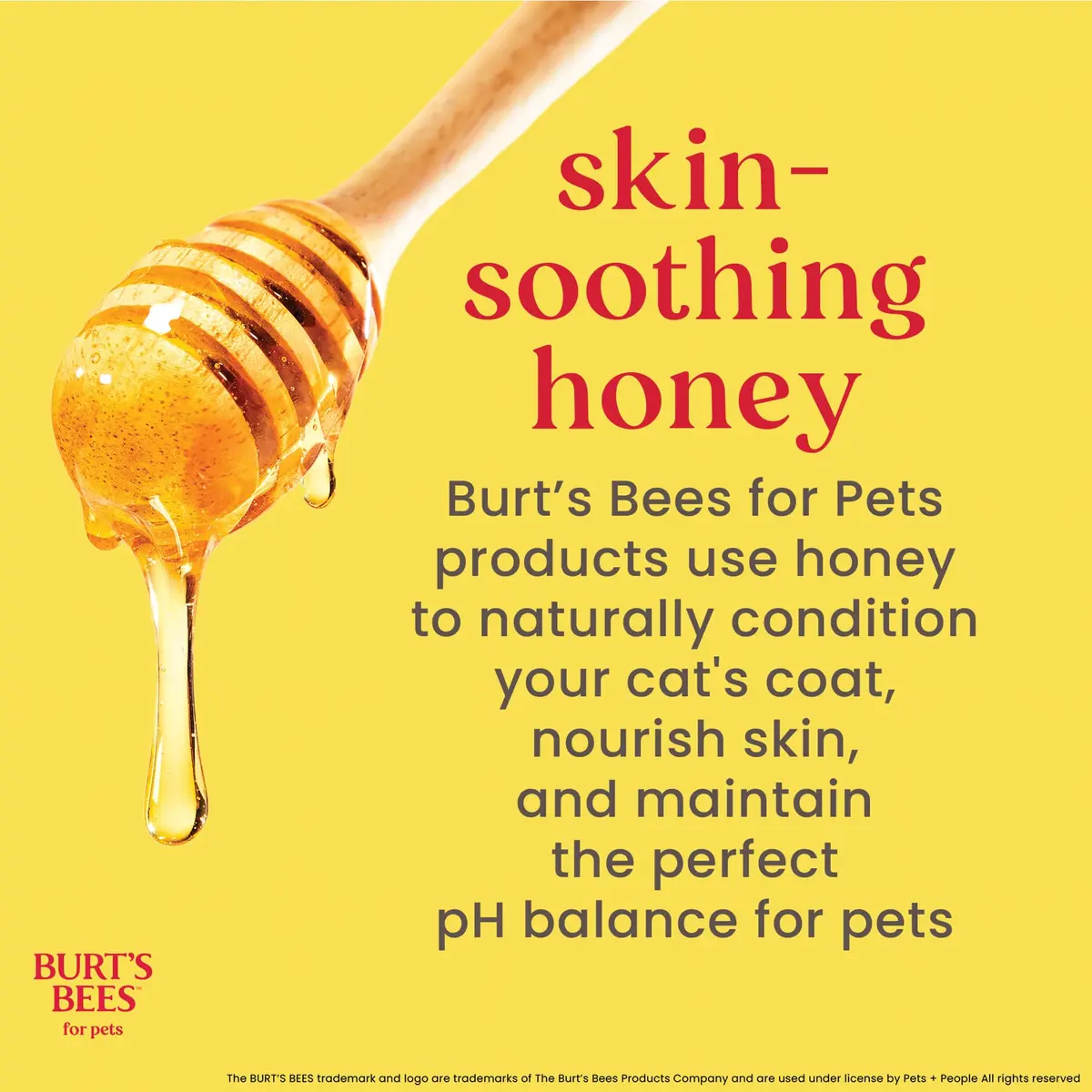Burt's Bees for Pets Waterless Cat Shampoo Spray 296ml (10 Fl Oz) | Gentle No-Rinse Formula for Cats - view 5