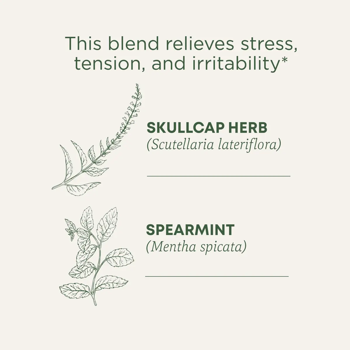 Traditional Medicinals Organic Stress Ease Tension Relief Lemon Verbena Mint Tea 16 Tea Bags | Supports Stress Relief - view 3
