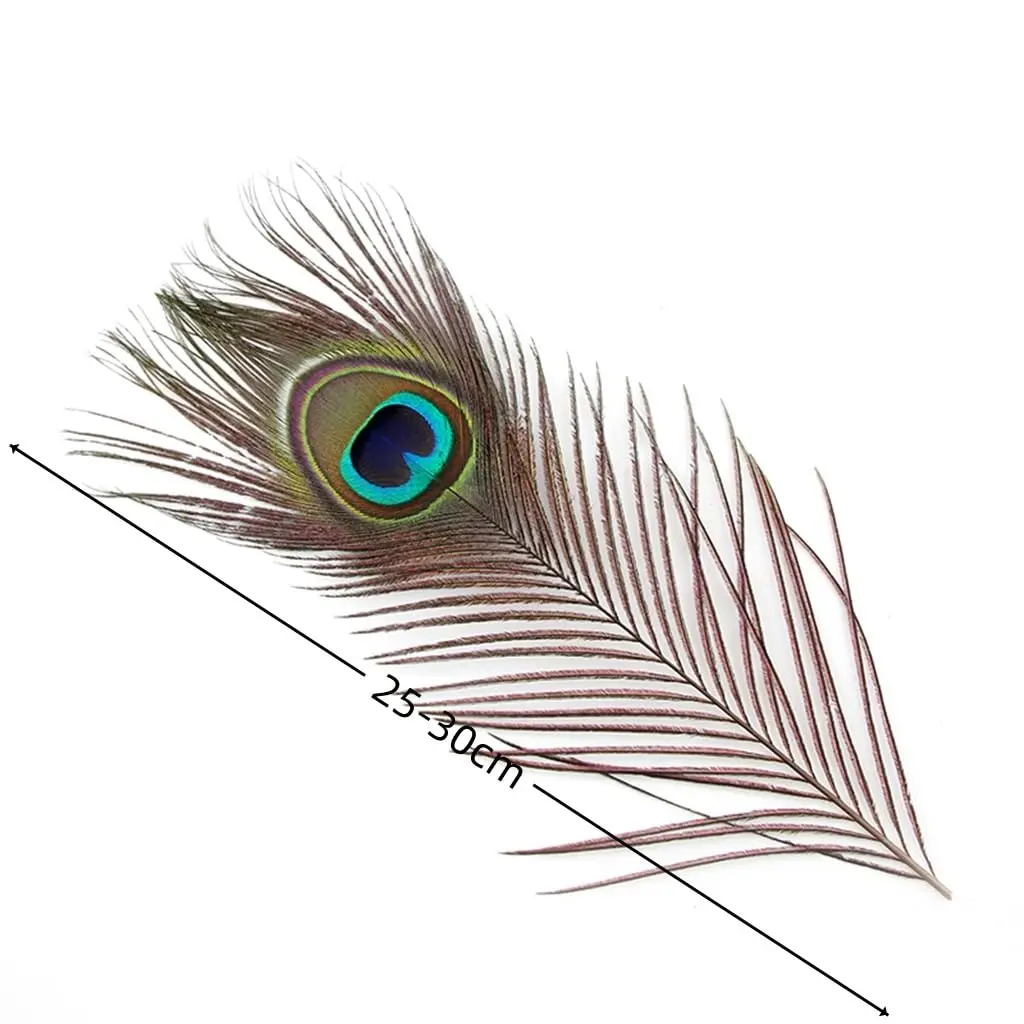 Shekyeon Natural Peacock Feathers 10-12inch | Wedding & Party Decor (110 chars) - view 2