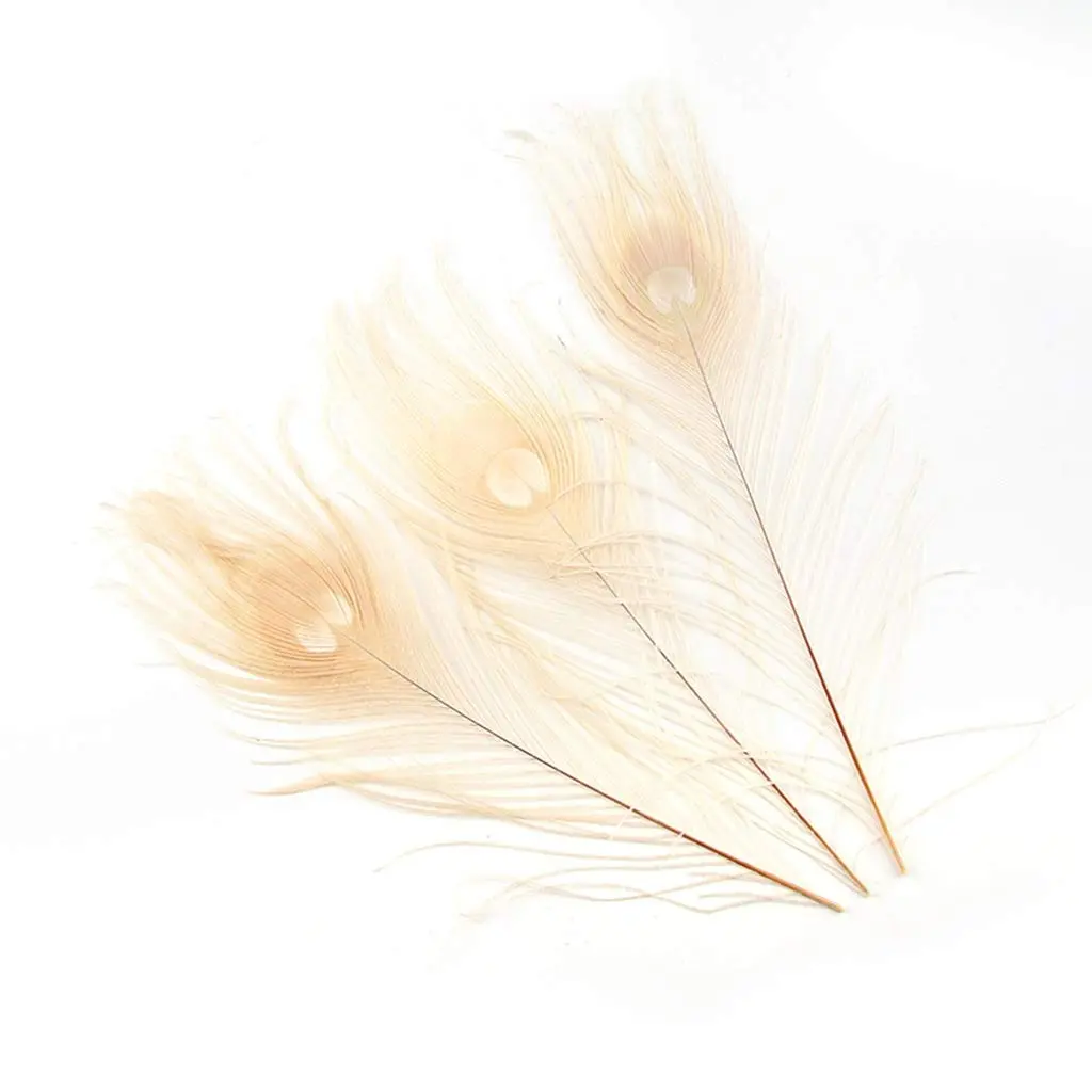 Shekyeon Natural Dyeing Peacock Feathers 25-30cm (10-12 Inch) Pack of 10 | Off-White Wedding & Craft Decor - main product image