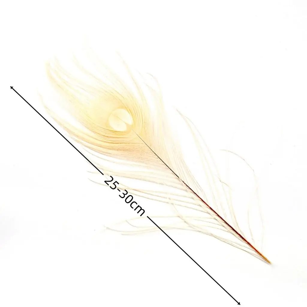 Shekyeon Natural Dyeing Peacock Feathers 25-30cm (10-12 Inch) Pack of 10 | Off-White Wedding & Craft Decor - view 3