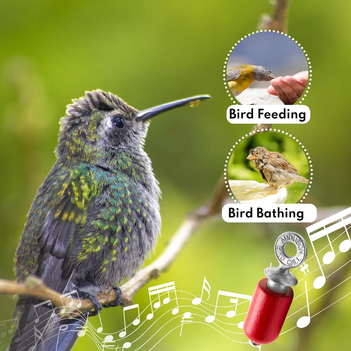 Audubon Bird Call Red Gift Pack - 2.5 inch (6.35 cm) | Authentic USA Import for Bird Watching - view 4