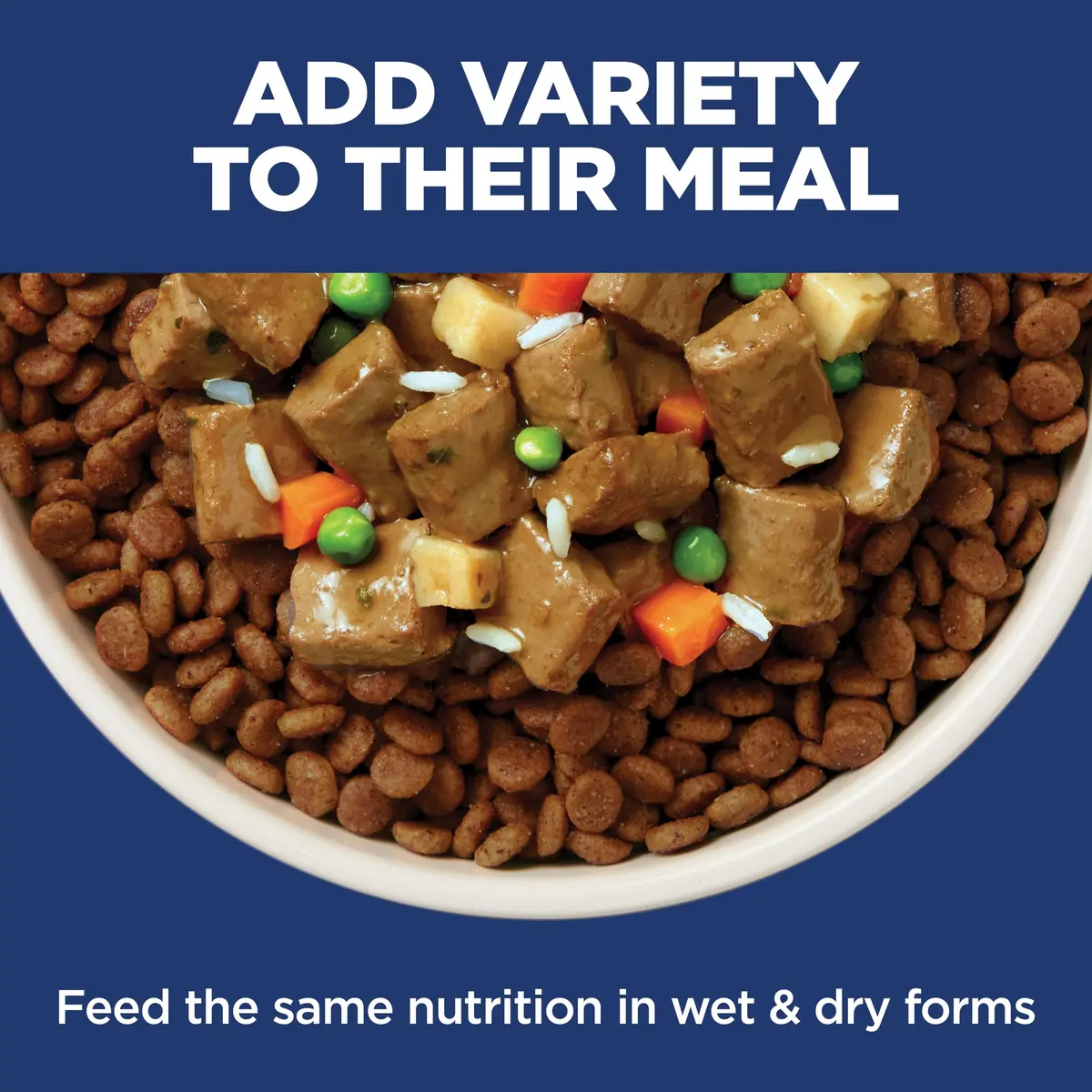 Hill's Science Diet Sensitive Stomach & Skin Dry Dog Food Chicken Recipe 1.81 kg (4 lb) | Vet Recommended for Digestive & Skin Health - view 8