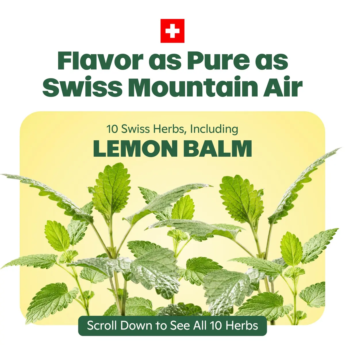 Ricola Sugar Free Lemon Mint Throat Drops 45 Count | Swiss Herbal Soothing Lozenges for Dry Throat - view 3