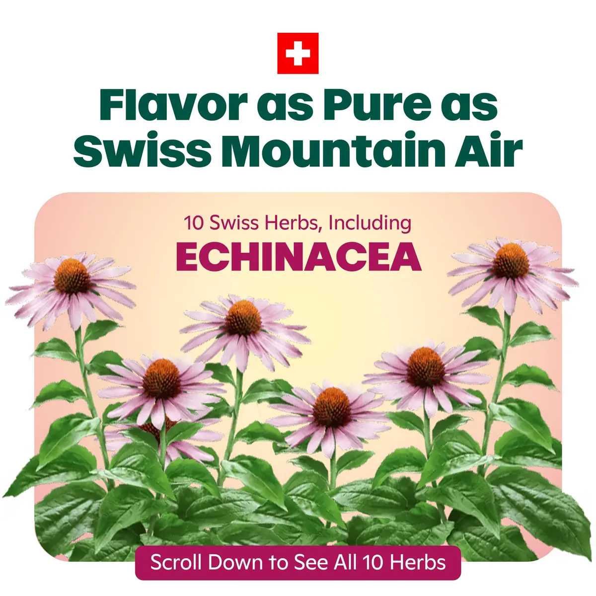 Ricola Throat Drops Echinacea Honey Lemon 45 Count | Swiss Herbal Relief with Menthol - view 3