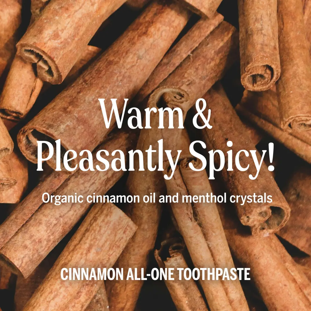 Dr. Bronner's Cinnamon All-One Toothpaste 450g (16 oz) | Fluoride-Free & Vegan - view 4