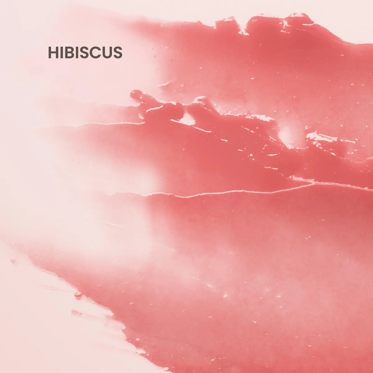 Burt's Bees Tinted Lip Balm Hibiscus 2-Pack | Natural Hydration with Shea Butter - view 4