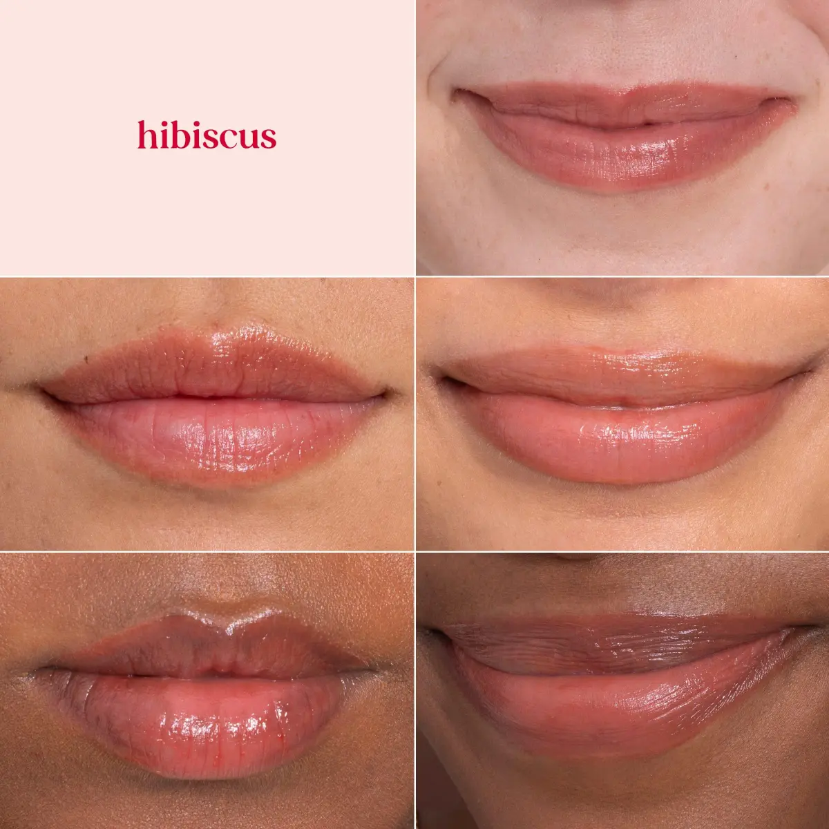 Burt's Bees Tinted Lip Balm Hibiscus 2-Pack | Natural Hydration with Shea Butter - view 5