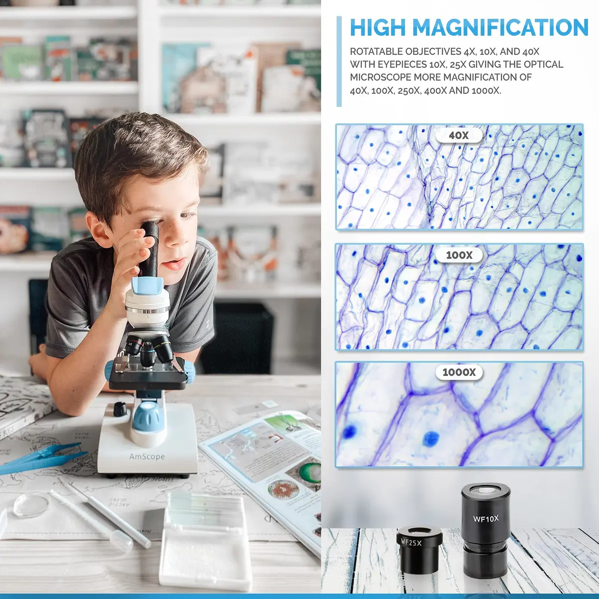 AmScope M162C-2L-PB10-WM 1000X Microscope Kit for Education & Home Use | All-Metal Durable Design - view 7